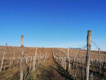 Panoramic view of wooden post on field against clear sky