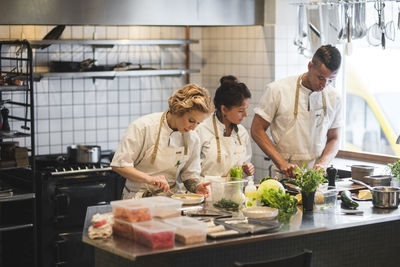 Multi-ethnic chefs preparing food on kitchen counter at restaurant