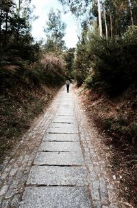 Rear view of woman walking on footpath