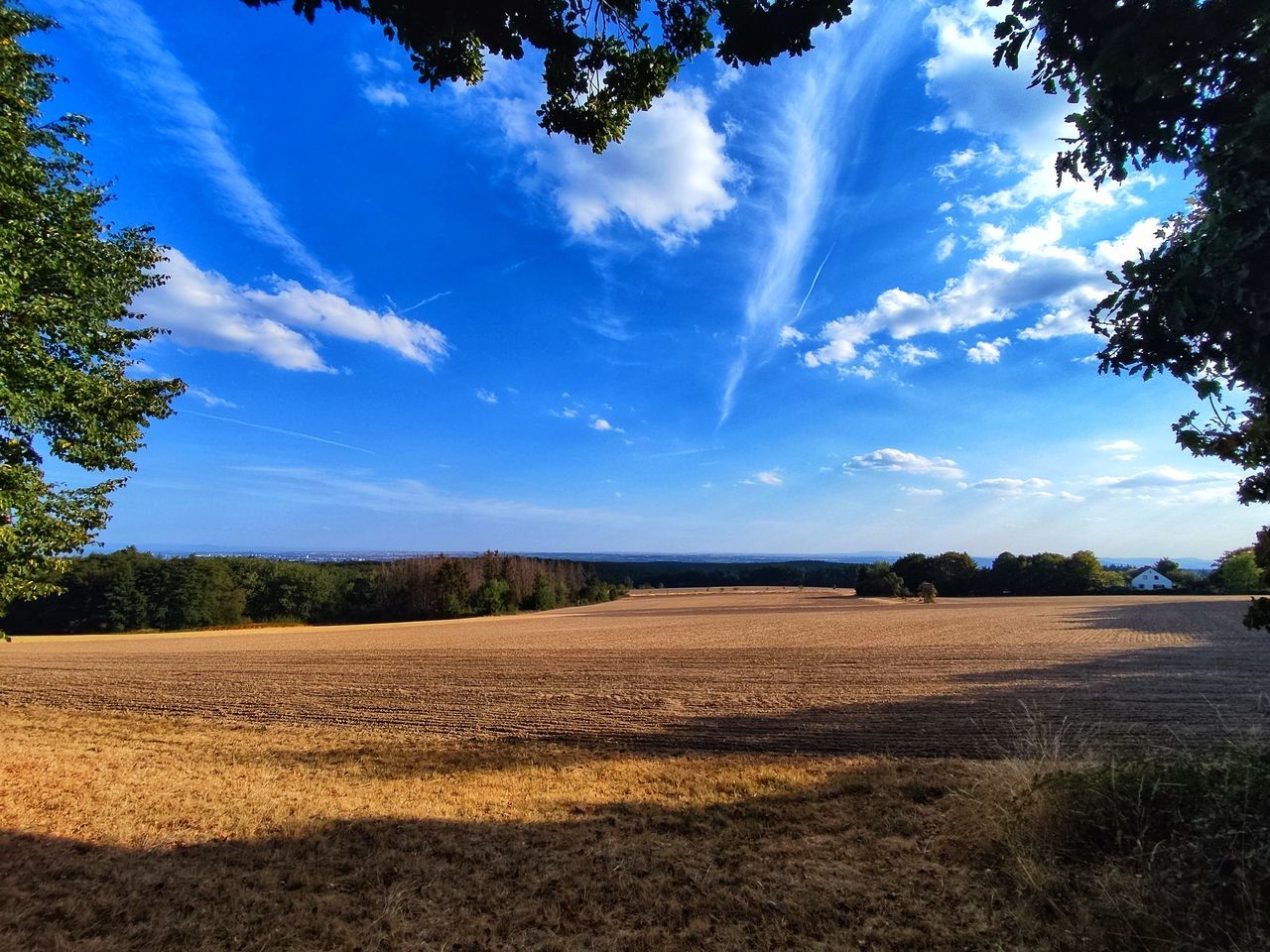 sky, nature, plant, horizon, tree, landscape, cloud, environment, grass, blue, land, sunlight, field, beauty in nature, scenics - nature, morning, no people, rural area, tranquility, rural scene, outdoors, dusk, tranquil scene, summer, non-urban scene, day