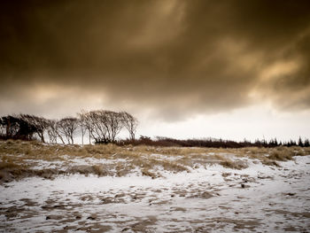 Scenic view of snow field against sky