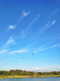 Scenic view of landscape against blue sky