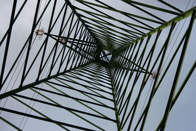 Low angle view of palm trees against sky