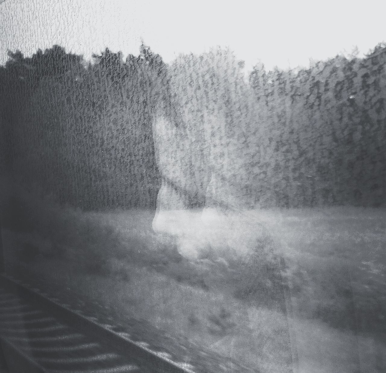 Train travel sleeping woman window black & White