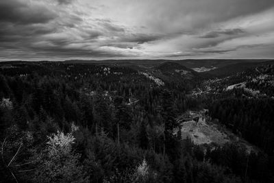 High angle view of forest against sky