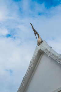 Low angle view of bird on building against sky