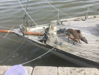 High angle view of man working in boat