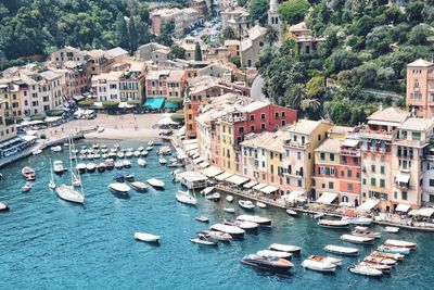 High angle view of boats moored at harbor