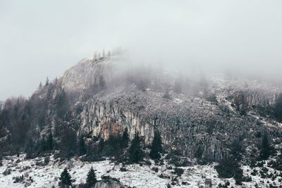 Snow covered trees against sky