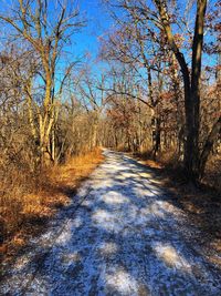 Road amidst bare trees in winter