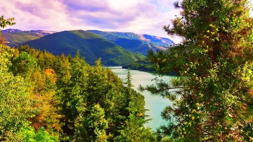 Scenic view of trees and mountains against sky