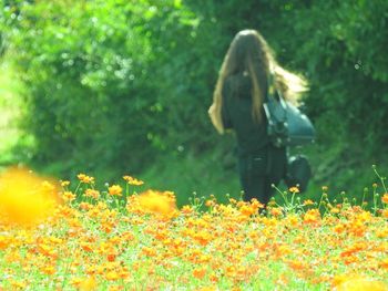 Rear view of woman standing on yellow flowering plants