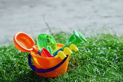 Close-up view of multi colored green grass