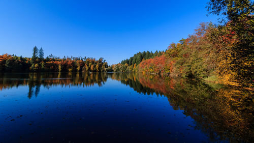 Scenic view of lake by trees against clear blue sky