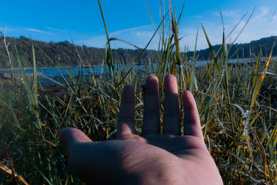 Enjoying the cold weather at twin lake