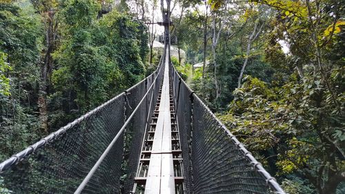 Bridge amidst trees in forest