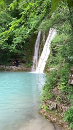 Scenic view of waterfall in forest