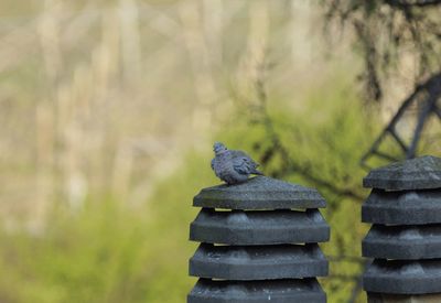 Close-up of stone stack on rock