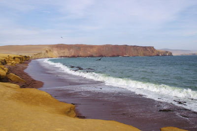 Scenic view of beach against sky