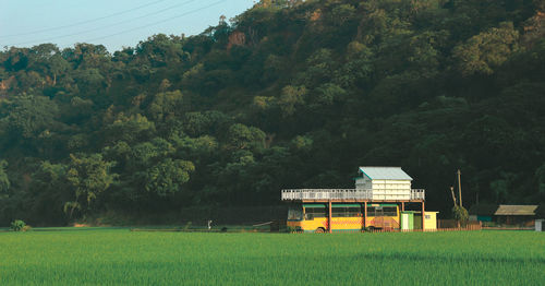 Built structure on field against trees