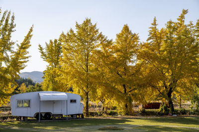Camping car by yellow ginkgo trees on field against sky