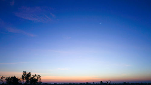 Silhouette trees against sky at night