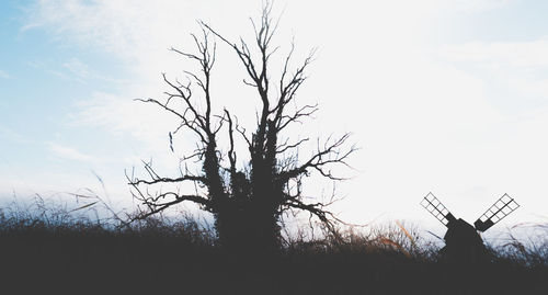 Silhouette bare tree against sky