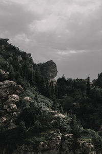 Low angle view of trees and rocks against sky