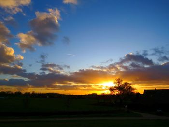 Silhouette trees on field against sky during sunset