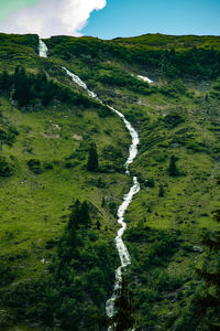 High angle view of waterfall along trees
