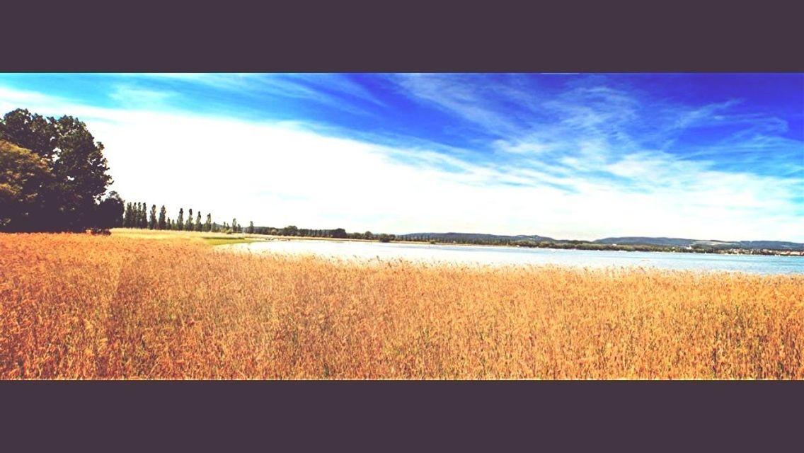 sky, water, tranquil scene, tranquility, scenics, cloud - sky, blue, cloud, beauty in nature, nature, grass, sea, field, landscape, beach, transfer print, auto post production filter, idyllic, day, outdoors