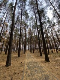 Park in ufa