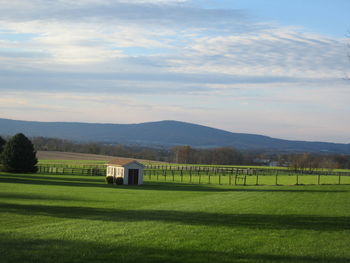 Scenic view of field against sky