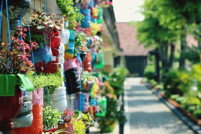 Potted plants for sale at market stall