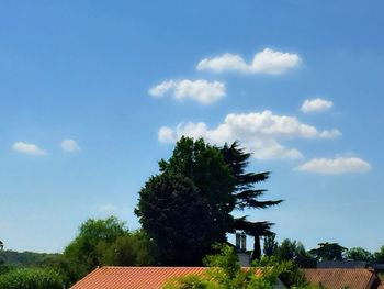 Trees against cloudy sky