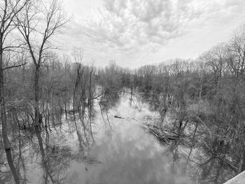 Reflection of trees in lake against sky
