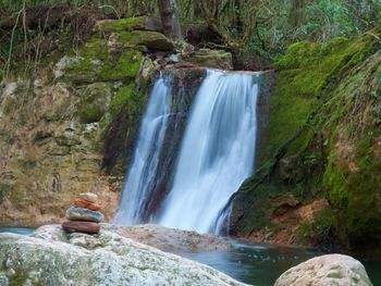 Scenic view of waterfall in forest