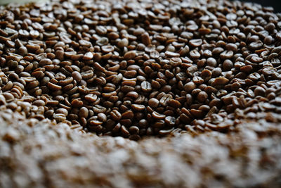 Close-up of coffee beans