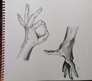 Close-up of animal skull against white background