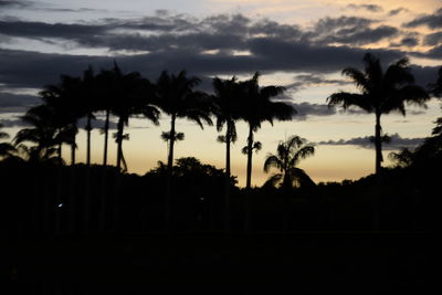 Silhouette palm trees against sky during sunset