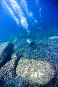 Full frame shot of water