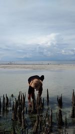 Man bending in sea against sky