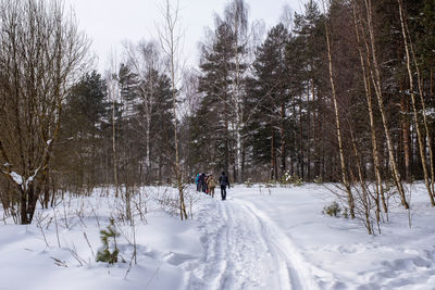 A group of tourists in a winter forest on a cloudy frosty day, russia.