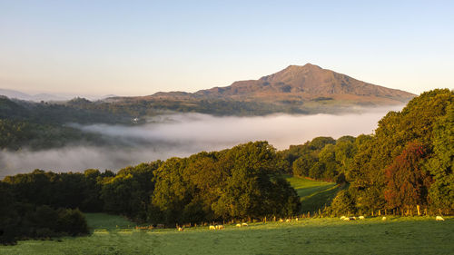 Early morning mist in the valley beneath a mountain in snowdonia national park, north wales, uk