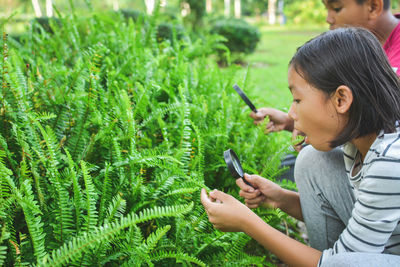 Side view of girl with brother looking at plants through magnifying glass in park