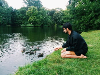 Rear view of man sitting feeding ducks in park