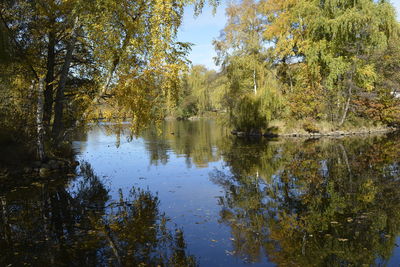 Reflection of trees in lake against sky