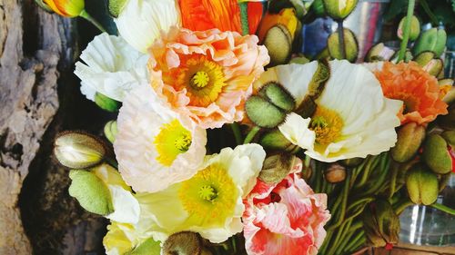 Close-up of flowers