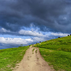 Dirt road amidst field against sky