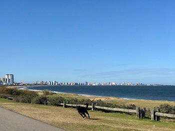 Scenic view of beach against blue sky